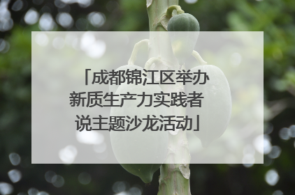 成都锦江区举办新质生产力实践者说主题沙龙活动
