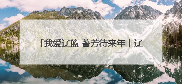 我爱辽篮 蓄芳待来年丨辽篮当针对阵容短板选外援