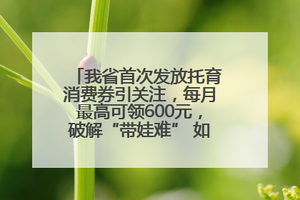 我省首次发放托育消费券引关注，每月最高可领600元，破解“带娃难” 如何不负所“托”？