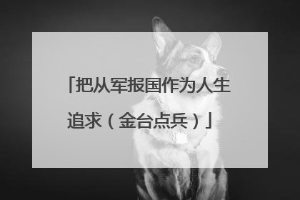把从军报国作为人生追求（金台点兵）