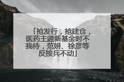 抢发行，抢建仓，医药主题新基金时不我待，范妍、徐彦等反按兵不动