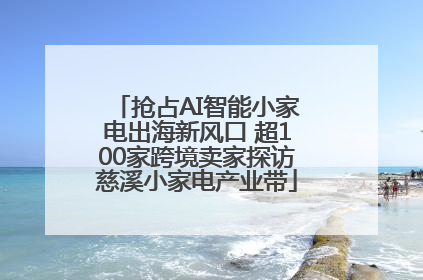 抢占AI智能小家电出海新风口 超100家跨境卖家探访慈溪小家电产业带