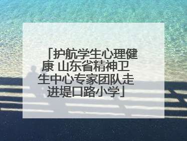 护航学生心理健康 山东省精神卫生中心专家团队走进堤口路小学