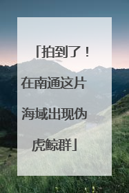 拍到了！在南通这片海域出现伪虎鲸群