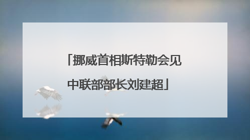 挪威首相斯特勒会见中联部部长刘建超