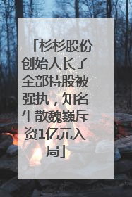 杉杉股份创始人长子全部持股被强执，知名牛散魏巍斥资1亿元入局