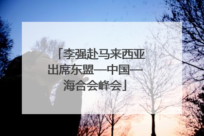 李强赴马来西亚出席东盟—中国—海合会峰会