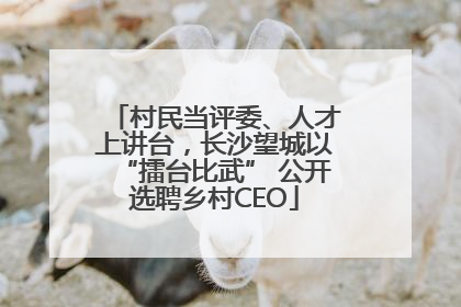 村民当评委、人才上讲台，长沙望城以“擂台比武” 公开选聘乡村CEO