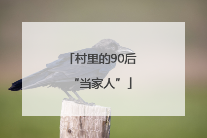 村里的90后“当家人”