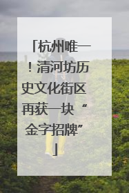 杭州唯一！清河坊历史文化街区再获一块“金字招牌”