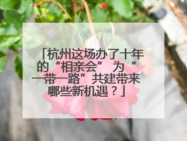 杭州这场办了十年的“相亲会” 为“一带一路”共建带来哪些新机遇？