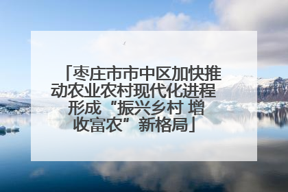 枣庄市市中区加快推动农业农村现代化进程 形成“振兴乡村 增收富农”新格局