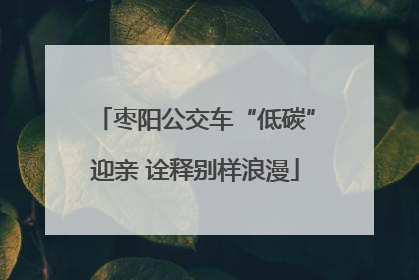 枣阳公交车“低碳”迎亲 诠释别样浪漫