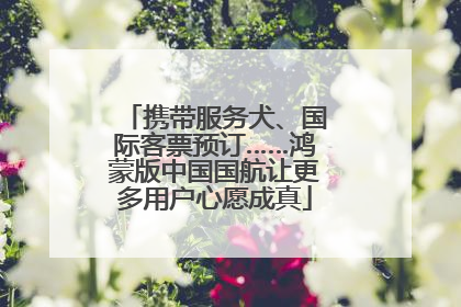 携带服务犬、国际客票预订……鸿蒙版中国国航让更多用户心愿成真