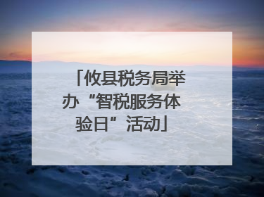 攸县税务局举办“智税服务体验日”活动