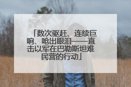 数次驱赶、连续巨响、呛出眼泪——直击以军在巴勒斯坦难民营的行动