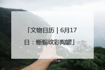 文物日历｜6月17日：蜥蜴纹彩陶罐