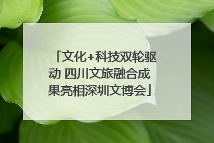 文化+科技双轮驱动 四川文旅融合成果亮相深圳文博会