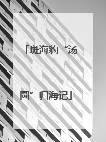 斑海豹“汤圆”归海记