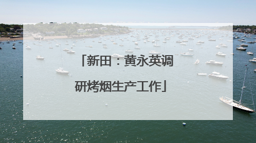 新田：黄永英调研烤烟生产工作