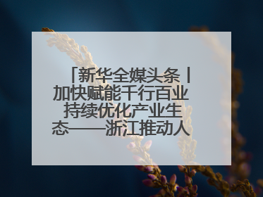 新华全媒头条丨加快赋能千行百业 持续优化产业生态——浙江推动人工智能健康有序发展观察