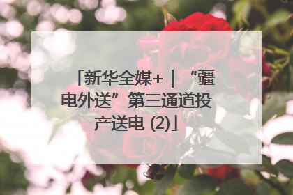 新华全媒+｜“疆电外送”第三通道投产送电 (2)