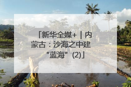 新华全媒+｜内蒙古：沙海之中建“蓝海”(2)