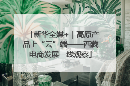 新华全媒+｜高原产品上“云”端——西藏电商发展一线观察