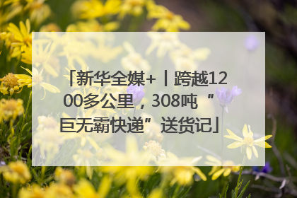 新华全媒+丨跨越1200多公里，308吨“巨无霸快递”送货记