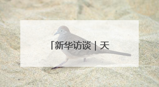 新华访谈｜天问二号有哪些了不起的地方？
