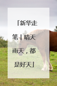 新华走笔丨晴天雨天，都是好天