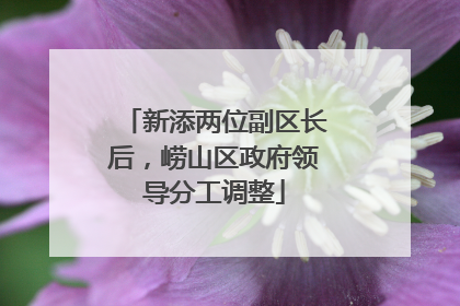 新添两位副区长后，崂山区政府领导分工调整