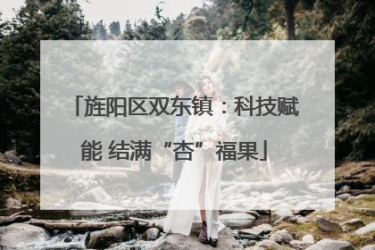 旌阳区双东镇：科技赋能 结满“杏”福果