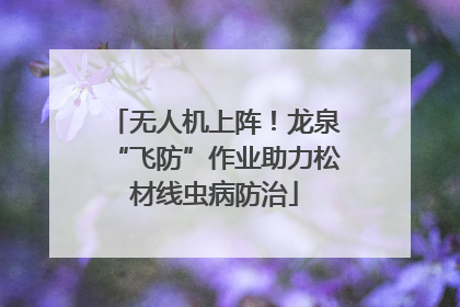 无人机上阵！龙泉“飞防”作业助力松材线虫病防治