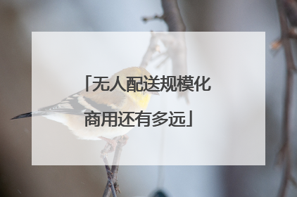 无人配送规模化商用还有多远