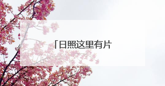 日照这里有片向日葵花海！
