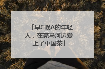 早C晚A的年轻人，在亮马河边爱上了中国茶