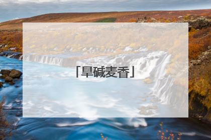 旱碱麦香