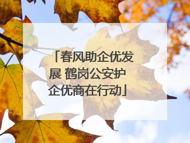 春风助企优发展 鹤岗公安护企优商在行动