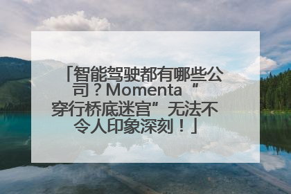 智能驾驶都有哪些公司？Momenta“穿行桥底迷宫”无法不令人印象深刻！