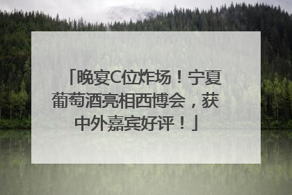 晚宴C位炸场！宁夏葡萄酒亮相西博会，获中外嘉宾好评！