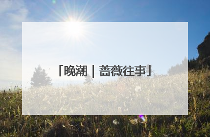 晚潮｜蔷薇往事