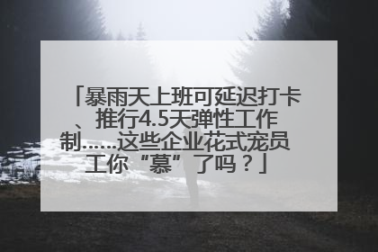 暴雨天上班可延迟打卡、推行4.5天弹性工作制……这些企业花式宠员工你“慕”了吗？
