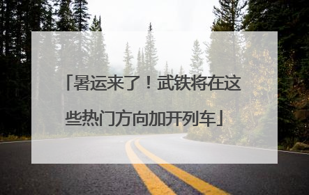 暑运来了！武铁将在这些热门方向加开列车