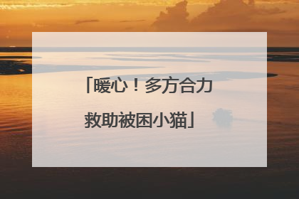 暖心！多方合力救助被困小猫