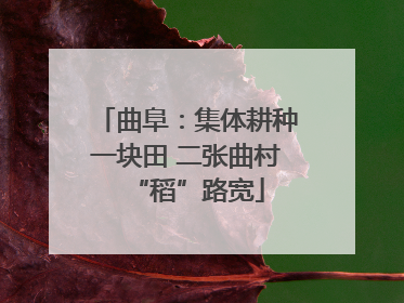 曲阜：集体耕种一块田 二张曲村“稻”路宽