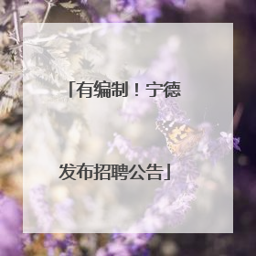 有编制！宁德发布招聘公告