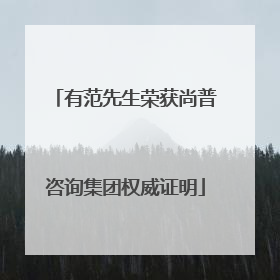 有范先生荣获尚普咨询集团权威证明