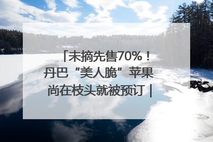 未摘先售70%！丹巴“美人脆”苹果尚在枝头就被预订｜长征路上看四川