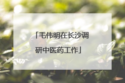 毛伟明在长沙调研中医药工作